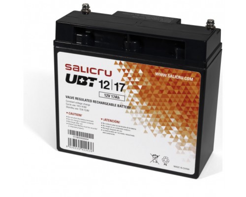 Salicru UBT 12/17 - Batería AGM recargable de 17 Ah