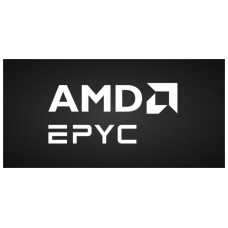 AMD EPYC 9555 (Espera 4 dias)-SX1,040 AMD EPYC 9555 (Espera 4 dias)