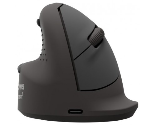 RAT&Oacute;N ERGON&Oacute;MICO VERTICAL BREYTA PLUS+ TALLA L PARA ZURDOS FELLOWES 100143584 (Espera 4 dias)