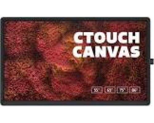 CTOUCH CANVAS WRITER (10052599)