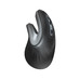 MOUSE TRUST WIRELESS ERGO VERRO ERGONOMIC OPTICO