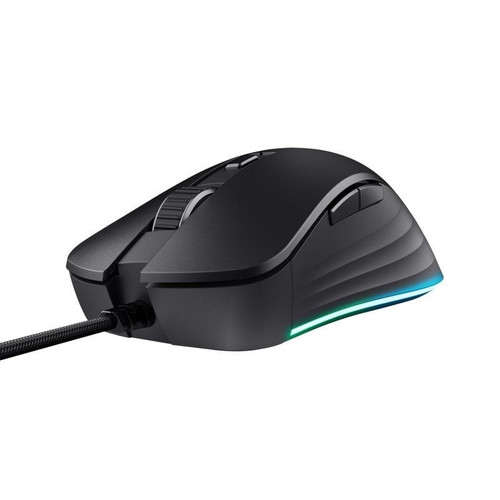 RATON TRUST GXT 924 YBARP BK-SX9 RATON TRUST GXT 924 YBARP BK