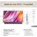 METROLOGICZ-TV 24MPE7000Z