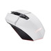 MOUSE TRUST GAMING WIRELESS RGB GXT 110W FELOX 25069