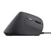 MOUSE TRUST ERGO BAYO II 25144 DPI AJUSTABLE-DN5 MOUSE TRUST ERGO BAYO II 25144 DPI AJUSTABLE