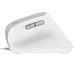 MOUSE TRUST ERGO BAYO II 25397 DPI AJUSTABLE-DN5 MOUSE TRUST ERGO BAYO II 25397 DPI AJUSTABLE
