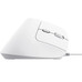 MOUSE TRUST ERGO BAYO II 25397 DPI AJUSTABLE-DN5 MOUSE TRUST ERGO BAYO II 25397 DPI AJUSTABLE