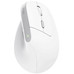 MOUSE TRUST WIRELESS ERGO BAYO II RF 2.4 GHz DPI