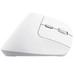MOUSE TRUST WIRELESS ERGO BAYO II RF 2.4 GHz DPI