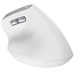MOUSE TRUST WIRELESS ERGO BAYO II RF 2.4 GHz DPI
