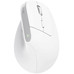MOUSE TRUST WIRELESS ERGO BAYOII+ 25399