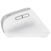 MOUSE TRUST WIRELESS ERGO BAYOII+ 25399