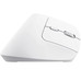 MOUSE TRUST WIRELESS ERGO BAYOII+ 25399