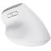 MOUSE TRUST WIRELESS ERGO BAYOII+ 25399