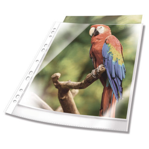 Durable 265502 protector de hojas A4 Polipropileno (PP) 25 pieza(s)