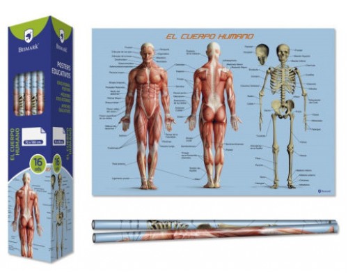 Bismark Poster Cuerpo Humano 70 x 100 cm (Espera 4 dias)