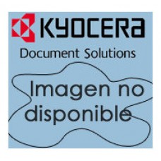 KYOCERA   KM-P4850/4845 / KM-4850w Revelador
