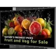PHILIPS 24x7 ( ANDROID 11 SoC) 43" D-LINE, UHD, 600CD, 24/7 LANDSCAPE & PORTRAIT, ANDROID 14, MEDIAPLAYER, FULL FAILOVER, WIFI & BT, WAVE READY (43BDL5050D/00)-MR181 PHILIPS 24x7 ( ANDROID 11 SoC) 43" D-LINE, UHD, 600CD, 24/7 LANDSCAPE & PORTRAIT, ANDROID 14, MEDIAPLAYER, FULL FAILOVER, WIFI & BT, WAVE READY (43BDL5050D/00)