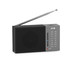 SPC Jetty Lite AM/FM Radio Gris