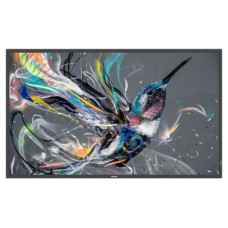 Philips 55BDL3650QE/00 pantalla de se&ntilde;alizaci&oacute;n Pantalla plana para se&ntilde;alizaci&oacute;n digital 138,7 cm (54.6") Wifi 350 cd / m&sup2; 4K Ultra HD Negro Procesador incorporado Android 10