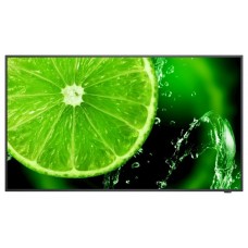 NEC MultiSync E498 124,5 cm (49") IPS 350 cd / m² 4K Ultra HD Negro 16/7
