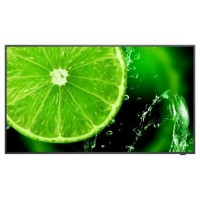 NEC E series MultiSync E558 Pantalla plana para señalización digital 138,7 cm (54.6") LCD 350 cd / m² 4K Ultra HD Negro 16/7