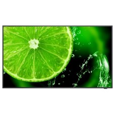 NEC MultiSync E658 165,1 cm (65") IPS 350 cd / m² 4K Ultra HD Negro 16/7