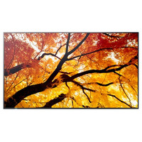 Sharp MultiSync M432 Pantalla plana para señalización digital 108 cm (42.5") LCD 550 cd / m² 4K Ultra HD Negro-152MR Sharp MultiSync M432 Pantalla plana para señalización digital 108 cm (42.5") LCD 550 cd / m² 4K Ultra HD Negro