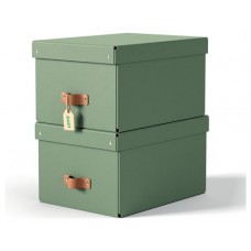 PACK 2 CAJAS DE ALMACENAMIENTO CART&Oacute;N MEDIANA COLOR VERDE LEITZ 61490050 (Espera 4 dias)