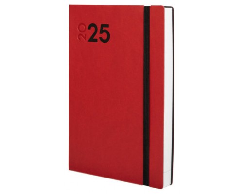 AGENDA 2025 DYNAMIC MARA Y10 140X204MM DIA PAGINA ROJO FINOCAM 621163025 (Espera 4 dias)