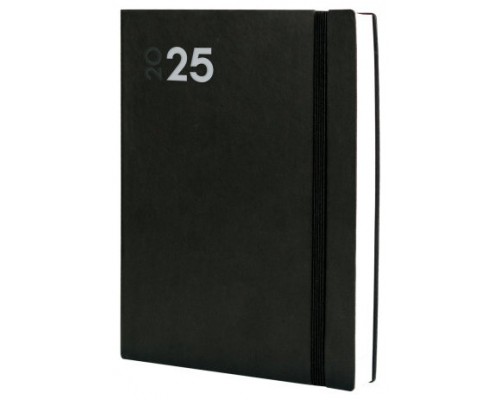 AGENDA 2025 DYNAMIC MARA Y12 210X270MM DIA PAGINA NEGRO FINOCAM 621186025 (Espera 4 dias)