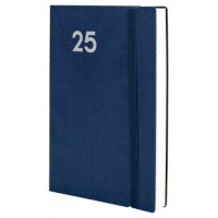 AGENDA 2025 DYNAMIC MARA Y11 164X240MM DIA PAGINA AZUL FINOCAM 621981025 (Espera 4 dias)