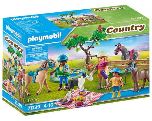 Playmobil country -  excursion picnic con