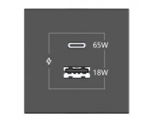 KRAMER CONNECT - ROOM CONNECTIVITY BLACK USBC 65W PORT AND U