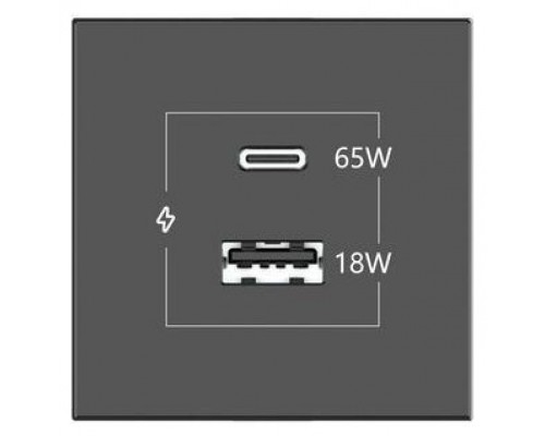 KRAMER CONNECT - ROOM CONNECTIVITY WHITE USBC 65W PORT AND U