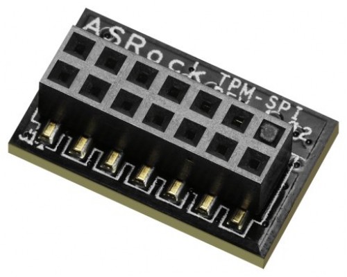 Asrock 90-MCA080-00UBNZ módulo de plataforma de confianza (TPM) SPI