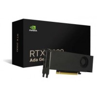 Vga Nvidia Rtx 2000 Ada 16 Gb Gddr6 2 Brackets.