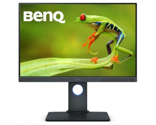 Benq SW240 61,2 cm (24.1") 1920 x 1080 Pixeles Full HD LED Gris
