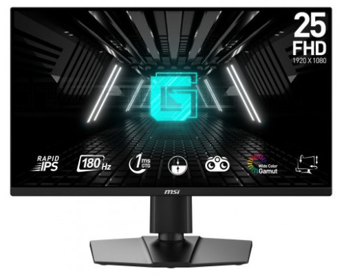 MSI G255PF E2 pantalla para PC 62,2 cm (24.5") 1920 x 1080 Pixeles Full HD LCD Negro