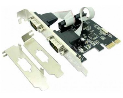 TARJETA PCI-E 2P SERIE APPROX