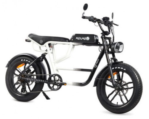 YOUIN E-BIKE URBAN STYLE FAT 2