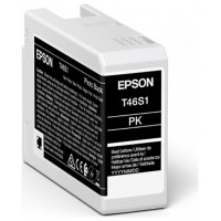 Cartucho tinta epson photo negro t46s1