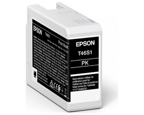 Cartucho tinta epson photo negro t46s1