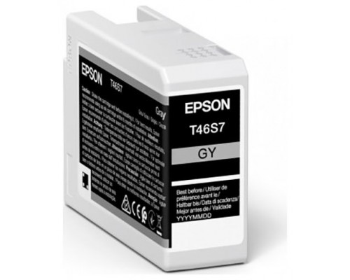 Epson singlepack gray t46s7 ultrachrome pro