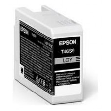 Cartucho tinta epson singlepack light gris