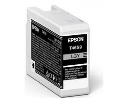 Cartucho tinta epson singlepack light gris