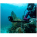 GOPRO HERO13 BLACK / VIDEOC&Aacute;MARA DEPORTIVA