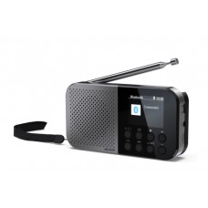 Sharp DR-P520 Personal Digital Gris