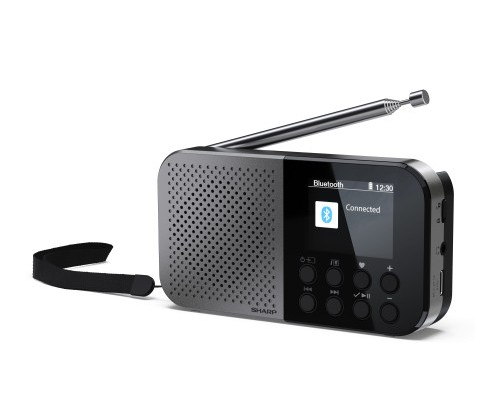 Sharp DR-P520 Personal Digital Gris