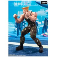 Figura tamashii nations street fighter sh